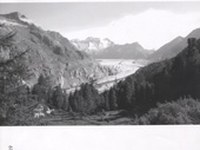 eco.mont - una nuova rivista dedicata alla ricerca nelle aree protette