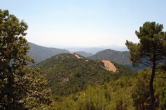 La riforma degli enti pubblici in Italia mette a rischio i parchi nazionali