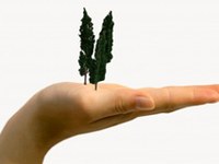 I Grigioni/CH danno il buon esempio nella protezione della natura