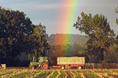 Novità dalla SAVE Foundation