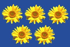 Vorarlberg e Liechtenstein - candidatura per il Festival olimpico della gioventù 2015