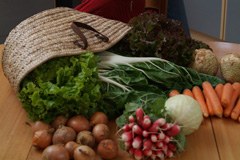 Sonthofen/D per il commercio equo e per il clima