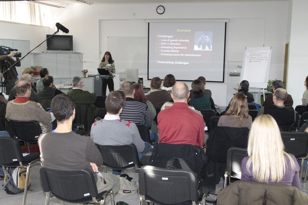 Popolazioni ridotte e isolate - cosa fare per la conservazione della lince in Europa