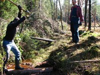 lavoro di ­braccia per salvare le torbiere