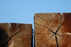 I Compact per tutti!