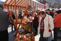 Relazione annuale 2011: "noi andiamo avanti"