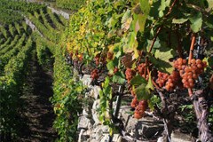 Sondrio festeggia insieme alla CIPRA