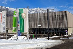 Campionati del mondo di sci verdi