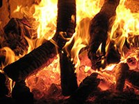 "L'Austria deve ripensare lo sfruttamento della biomassa"