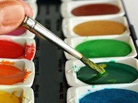 Noi siamo la macroregione Alpi