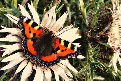 La Rete di comuni per la protezione della natura