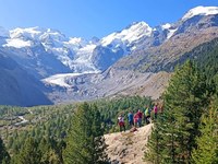 Carovana internazionale dei ghiacciai