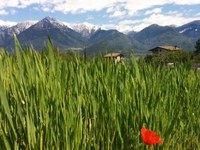 Alpi italiane tra luci ed ombre