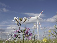 Energia e natura nelle Alpi: un difficile esercizio di equilibrio