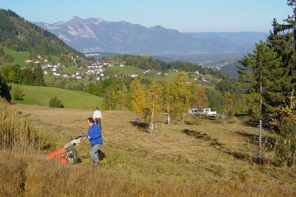 La biodiversità come bene comune