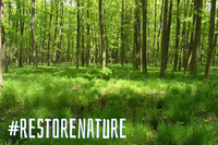 La legge europea sul ripristino della natura è a rischio?