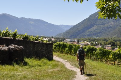 Luci ed ombre nelle Alpi Italiane