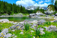 Perché non facciamo il bagno nei laghi alpini?