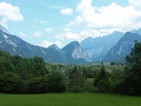 Quali le cause della perdita di biodiversità