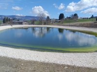 Turismo invernale nella crisi climatica