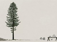 Un albero ha sette vite