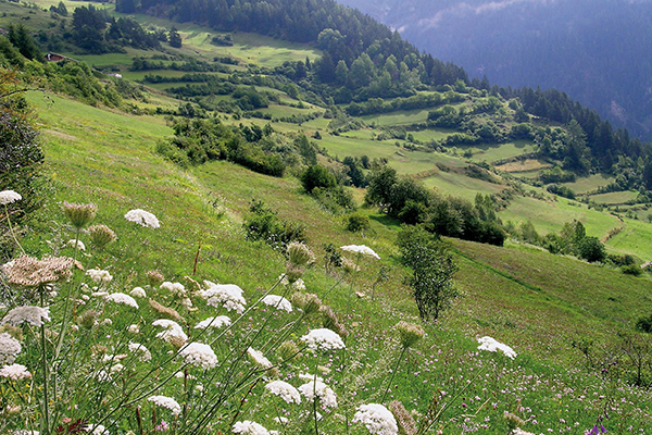 Un sistema di scambio regionale