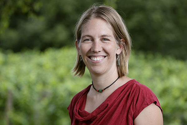 Una verifica con ricadute indirette