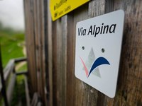 Via Alpina: 20 anni di escursionismo di lunga percorrenza