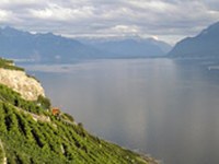 Risoluzione per l'istituzione e il mantenimento di una "Moratoria sull'utilizzo di organismi geneticamente modificati nelle Alpi"