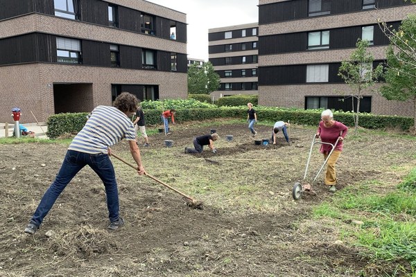 Future Soil Literacy - Futuro del suolo