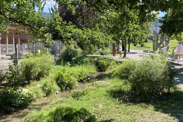 Soluzioni basate sulla natura e le loro strutture di governance nello spazio alpino