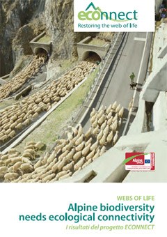 Webs of Life - Alpine biodiversity needs ecological connectivity