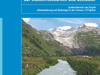 Effetti dei cambiamenti climatici sulle risorse idriche e i corsi d’acqua (Riassunto)