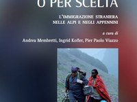 Per forza o per scelta