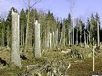 Unwetter-Warn-Tool in Österreich