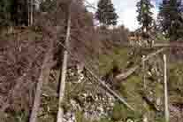 Gewarnt vor Sturm, Waldbrand und Lawinen