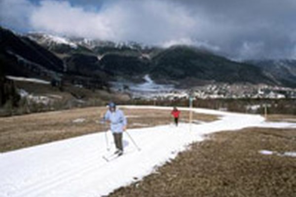 Der Skifahrer - eine aussterbende Spezies?