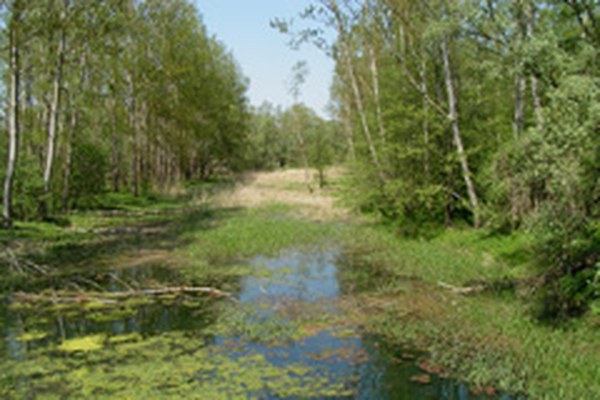 Slowenien: Kette von Wasserkraftwerken geplant