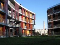 Negative CO2-Bilanz im Alpenraum