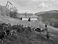 "Zukunft in den Alpen" verabschiedet sich