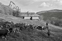 "Zukunft in den Alpen" verabschiedet sich