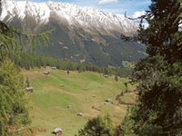 Gelebtes Wissen in den Alpen