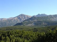 Qualität der Schutzgebiete in der EU mangelhaft