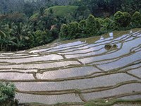Wissenschaftlicher Einblick in fremde Bergregionen und Kulturen