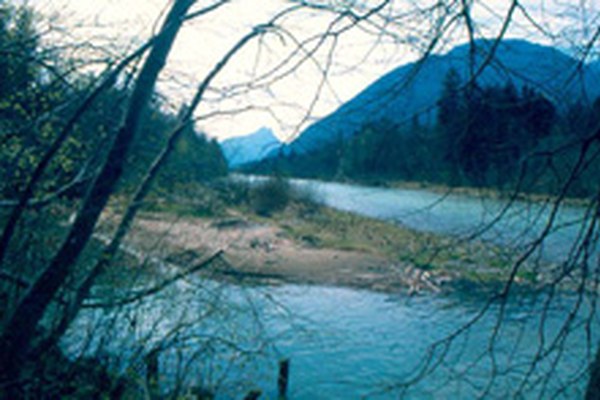Bad Reichenhall: "Naturerlebnis Marzoller Au"
