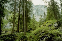 Forschen für das Klima