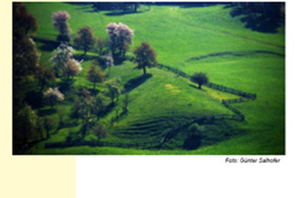 Publikation "Neue Modelle des Natur- und Kulturlandschaftsschutzes in den Österreichischen Naturparken"