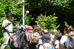 Gemeinden können den Klimawandel mit Phenoclim beobachten