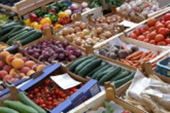 Umweltforum Vorarlberg 2010