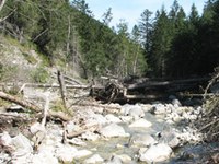 Ökostrom für Liechtenstein